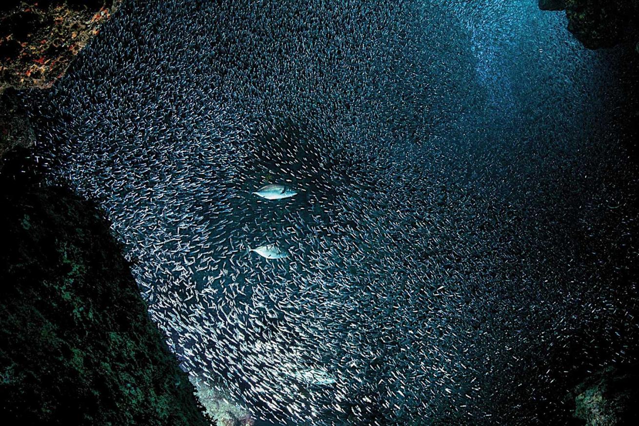 Caribbean Sea, Cayman Islands
