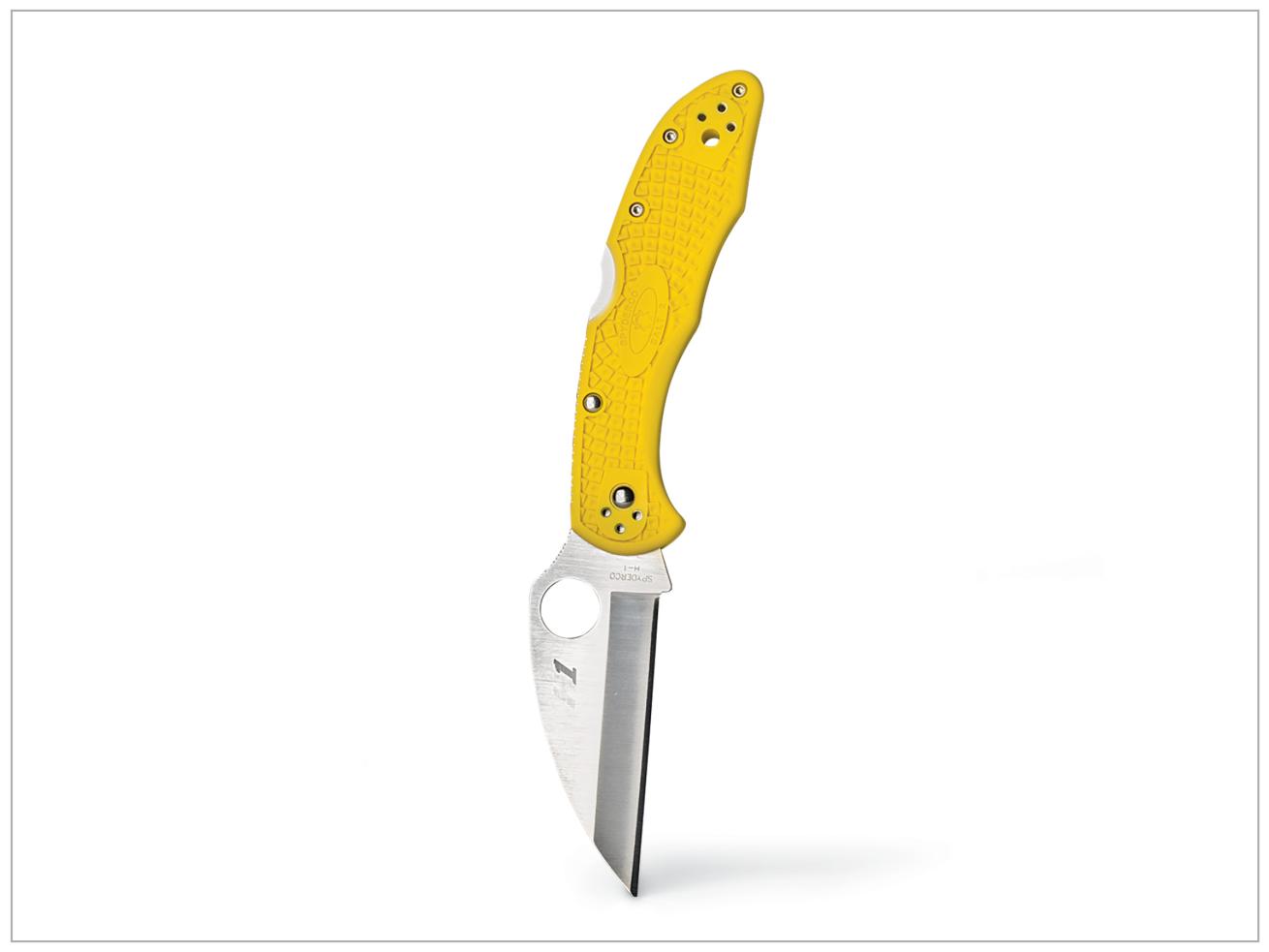 Spyderco Salt 2 Wharncliffe Plain Edge