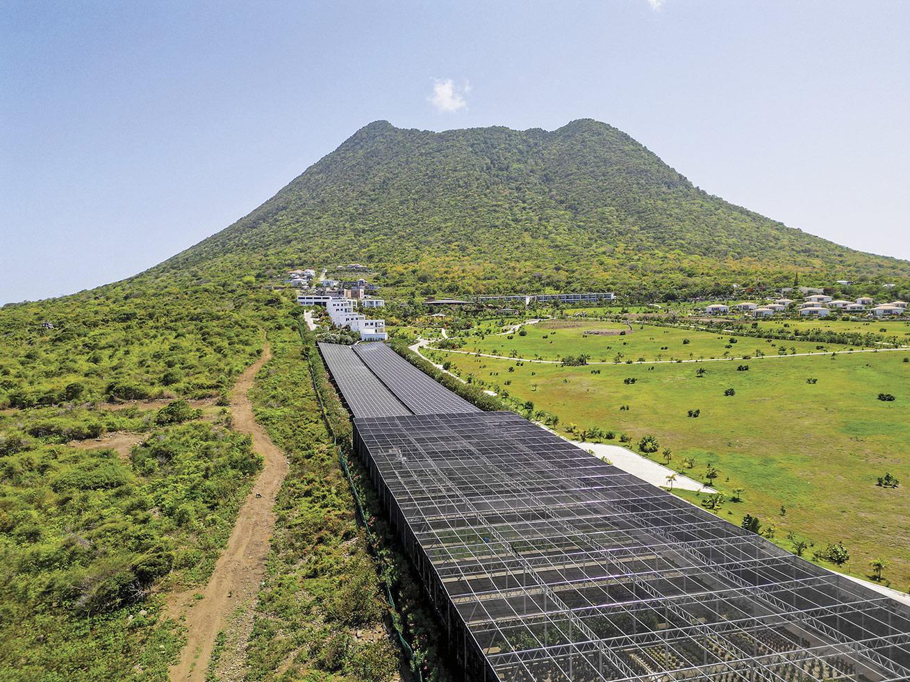 Golden Rock Resort was designed with conservation at the forefront. More than 2,000 solar panels provide the property with almost all the energy it needs to operate.