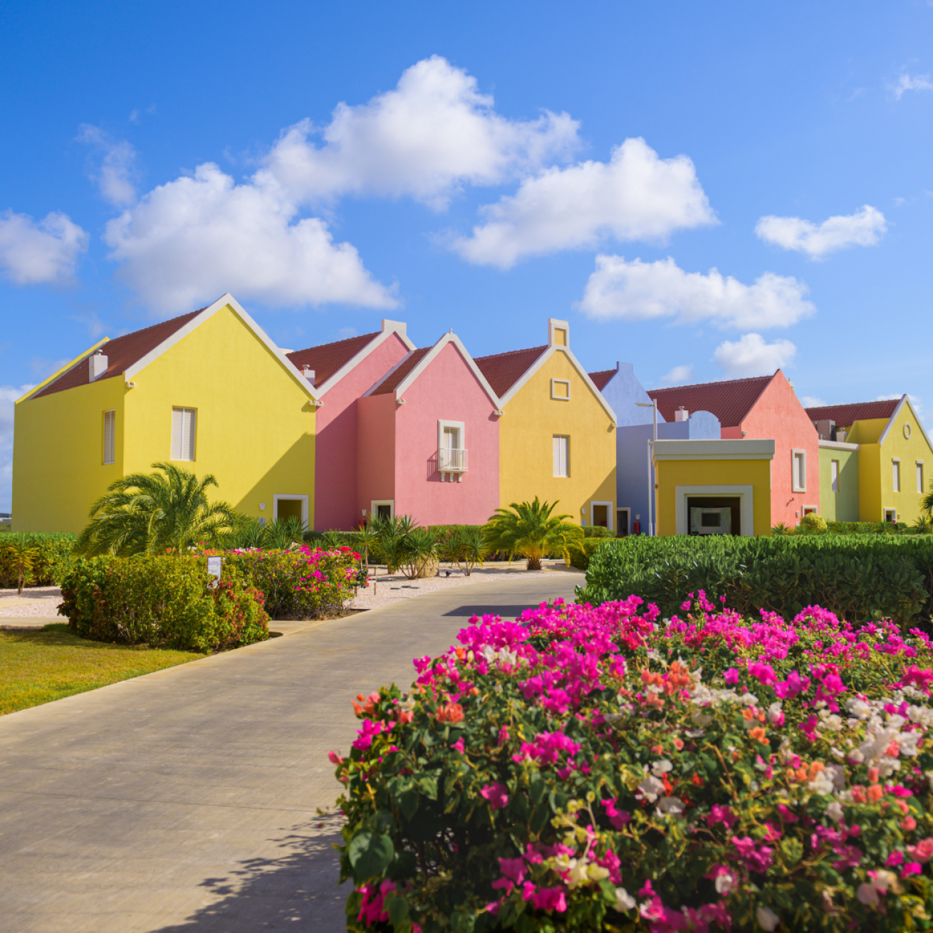 A row of colorful houses