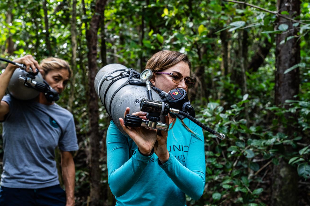 The dive team carries gear through the pine forest to reach the cave's entrance.