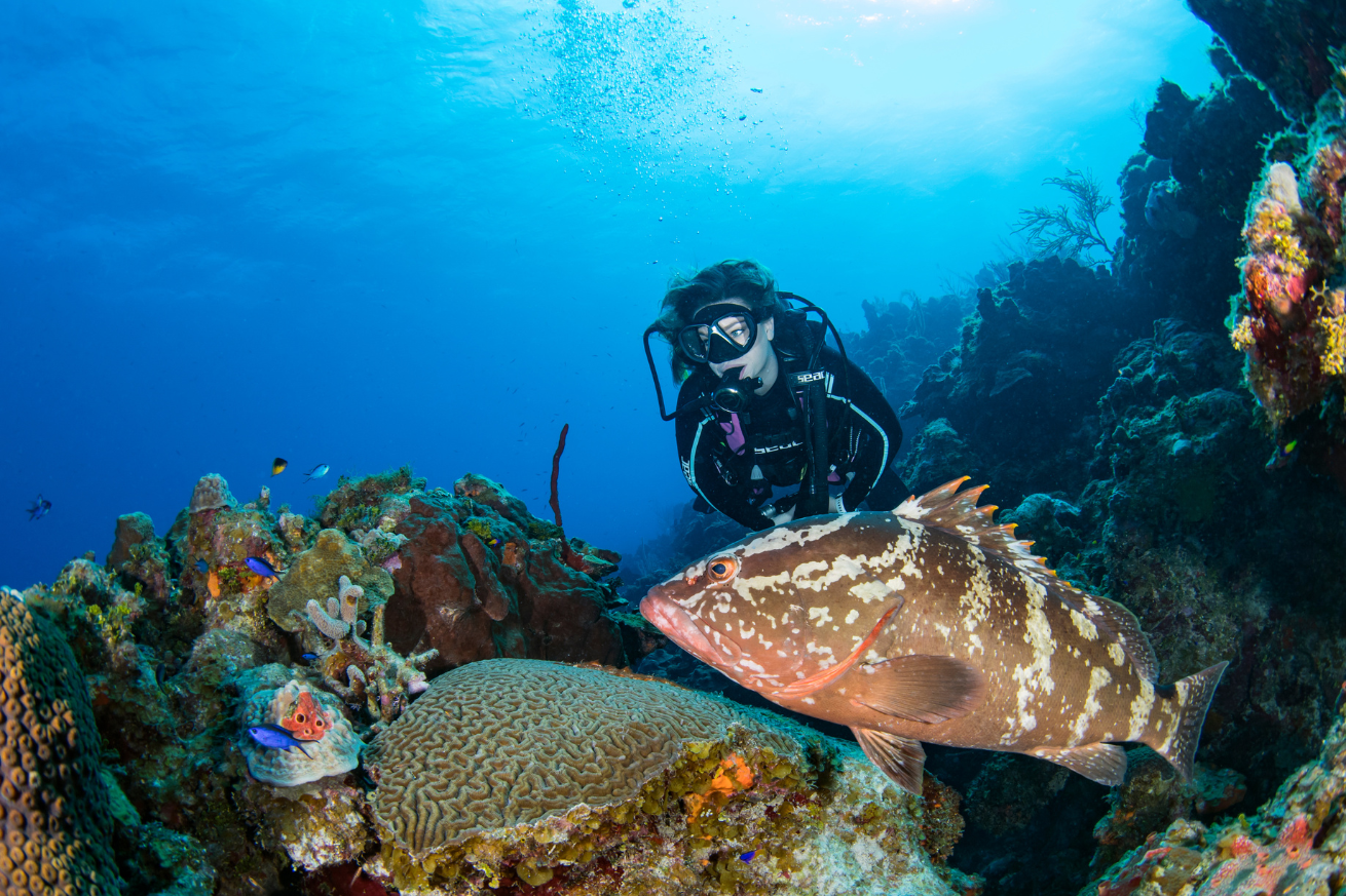 A diver in scuba gear underwater