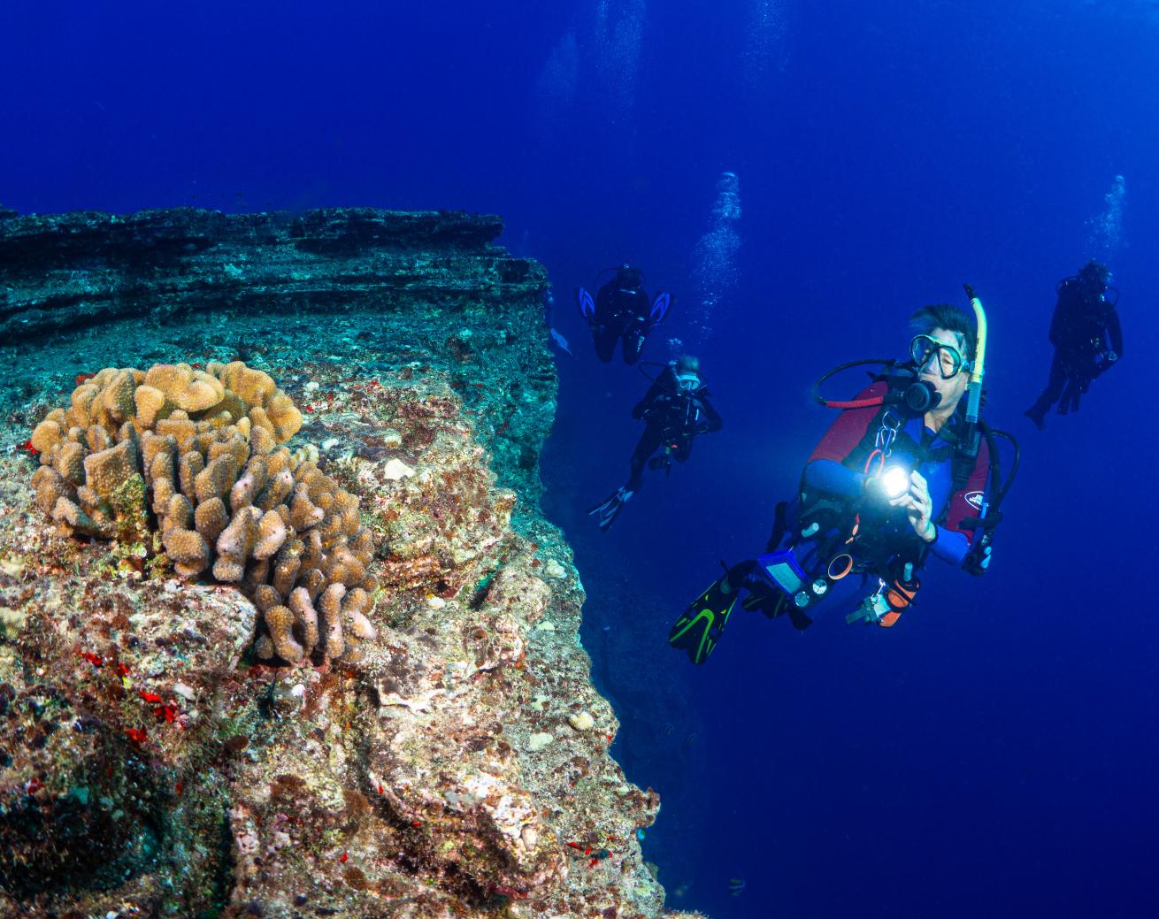 Scuba divers exploring vibrant coral reefs
