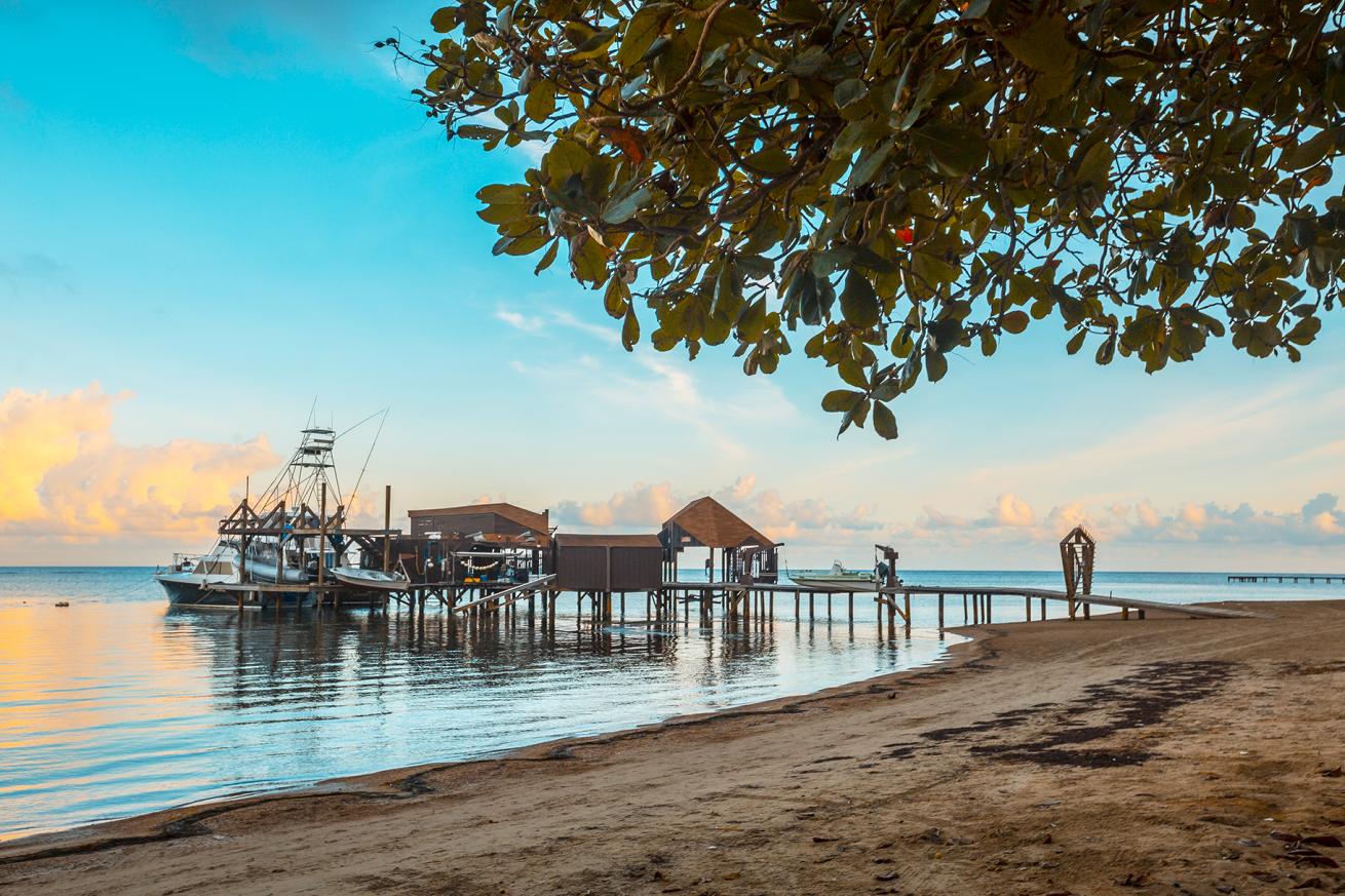 Our trips are about more than just diving; they include cultural experiences, luxury accommodations, and unforgettable moments with new friends.