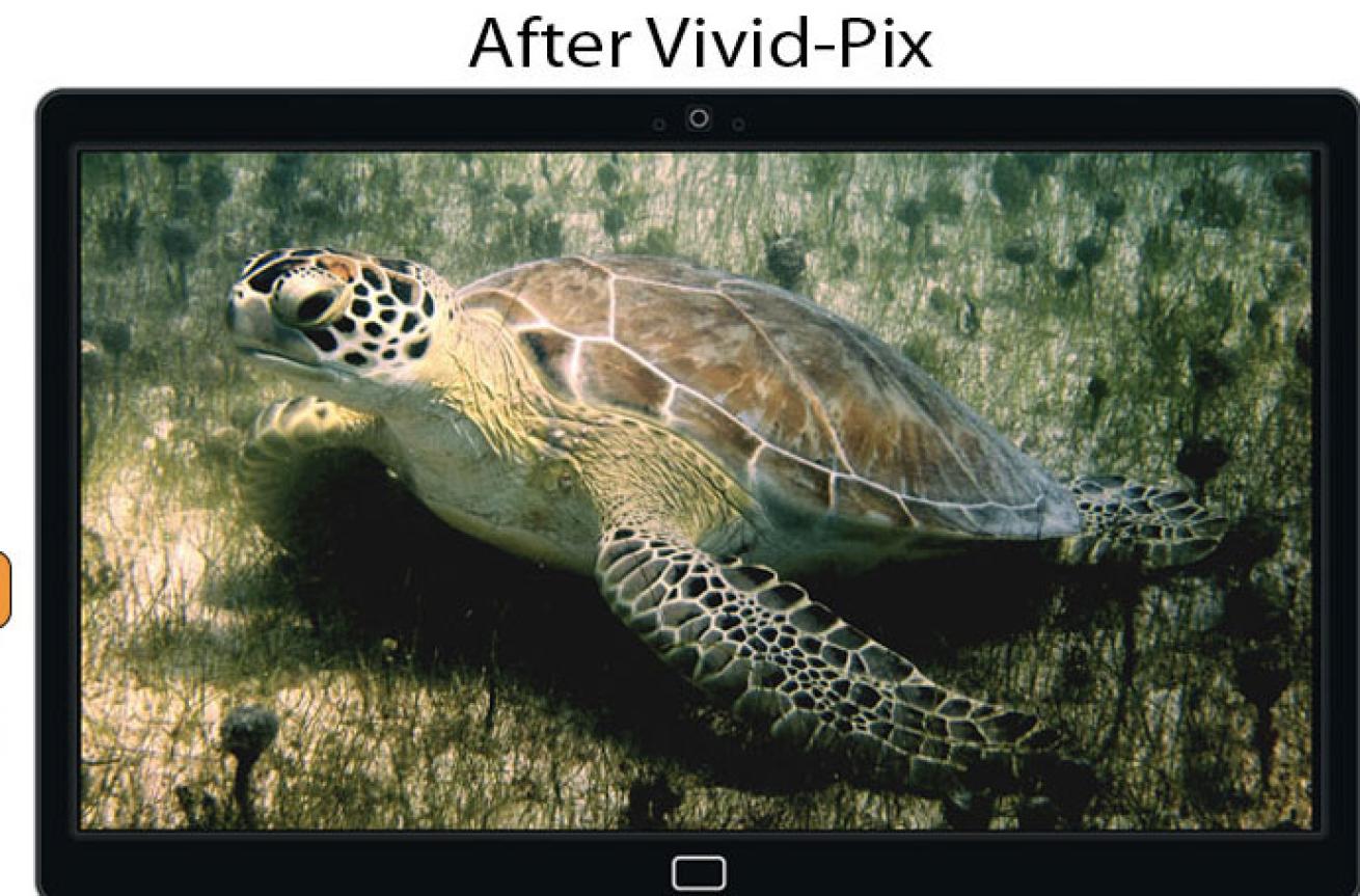 After Vivid-Pix