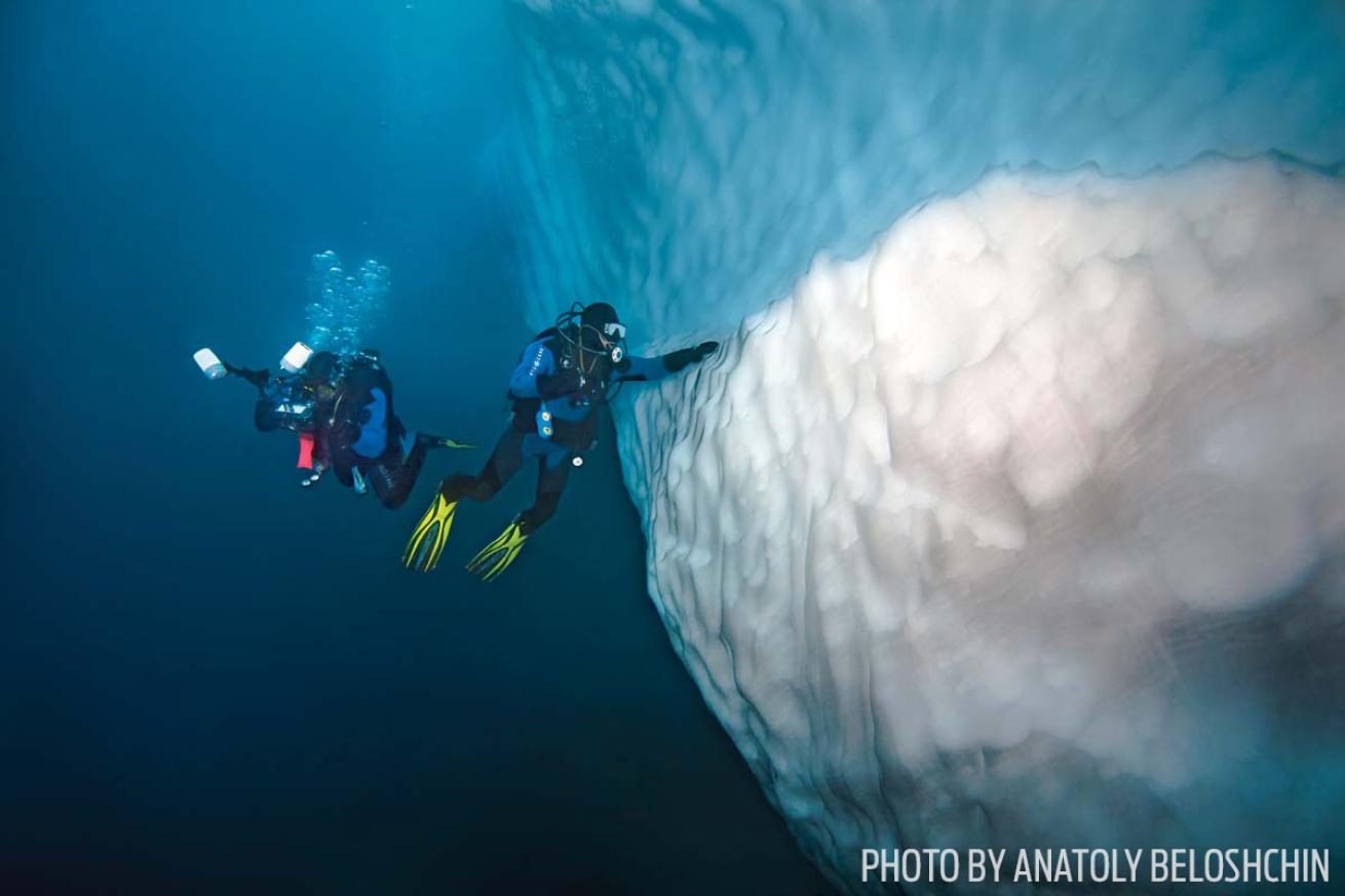 Scuba diving in antarctica ice