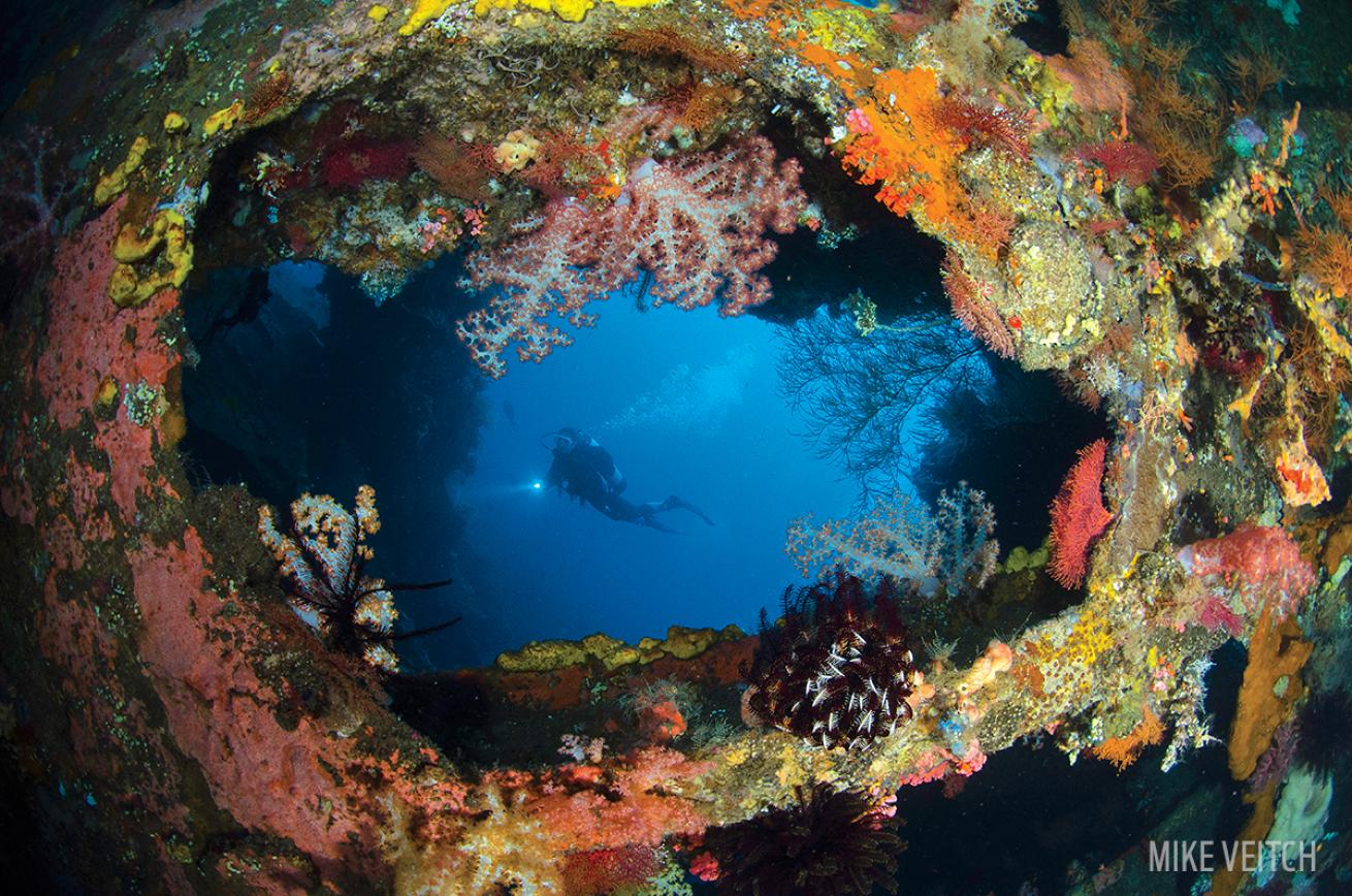 Coral Liberty Shipwreck
