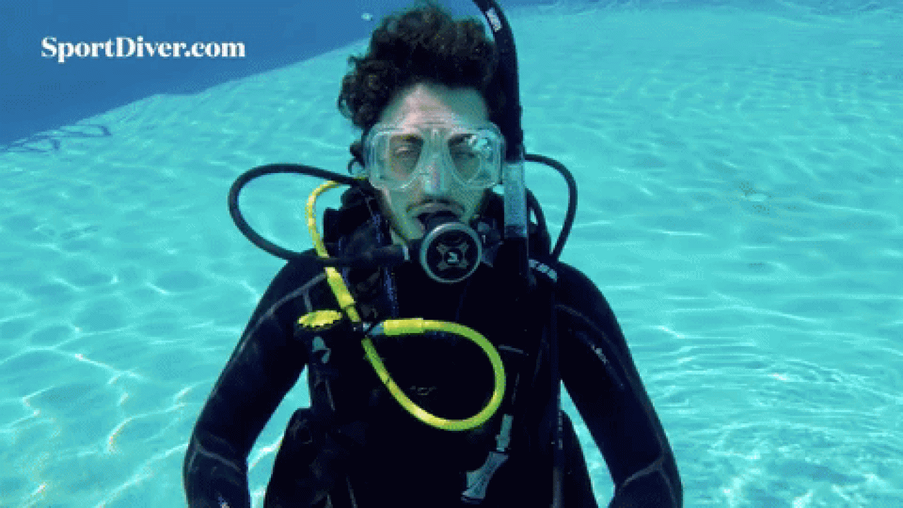 scuba hand signals funny