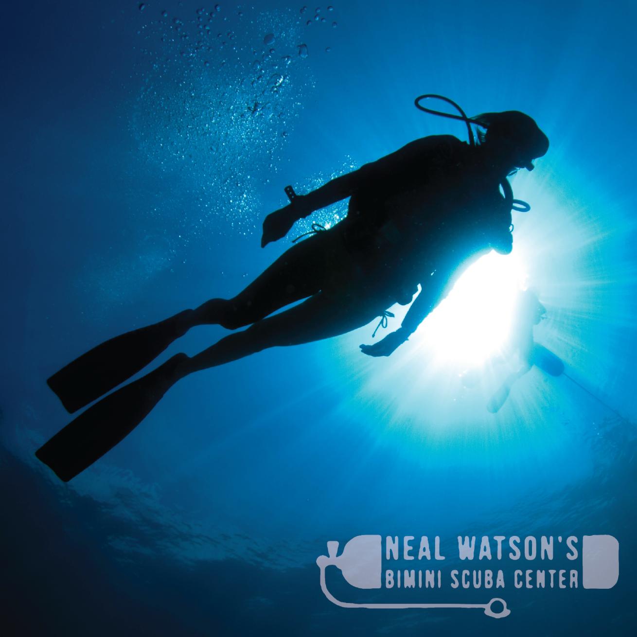 Neal Watson's Bimini Scuba Center diving