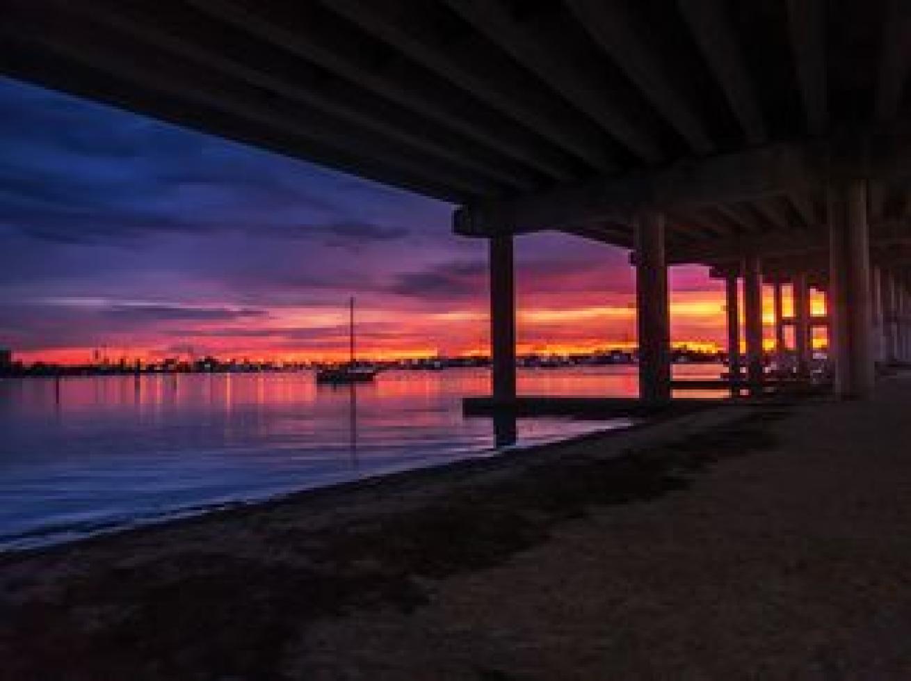 fluorescent photography blue heron bridge