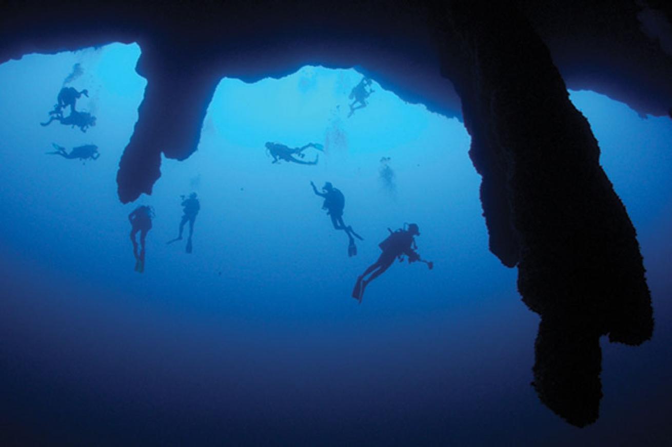 buddy diving