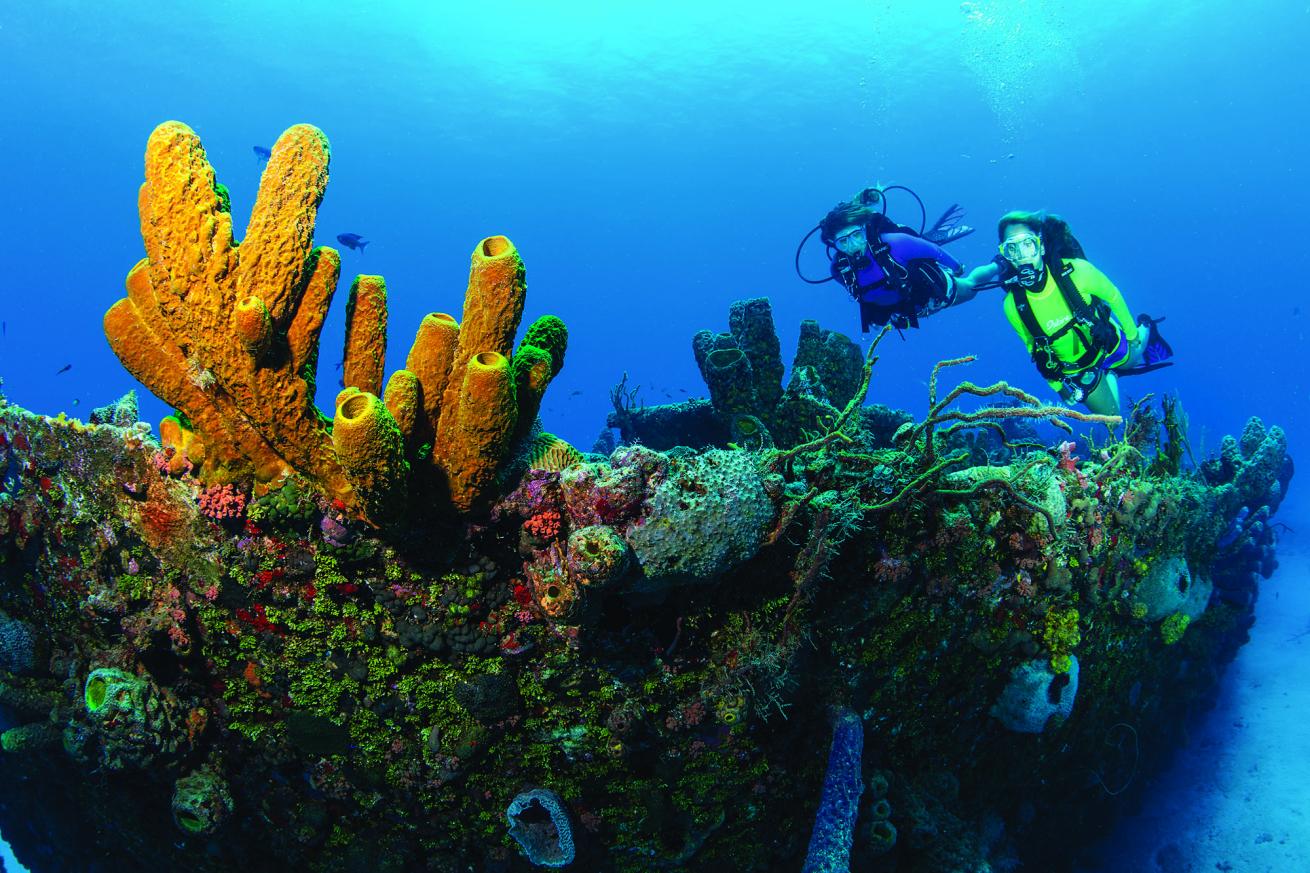 butler bay shipwrecks