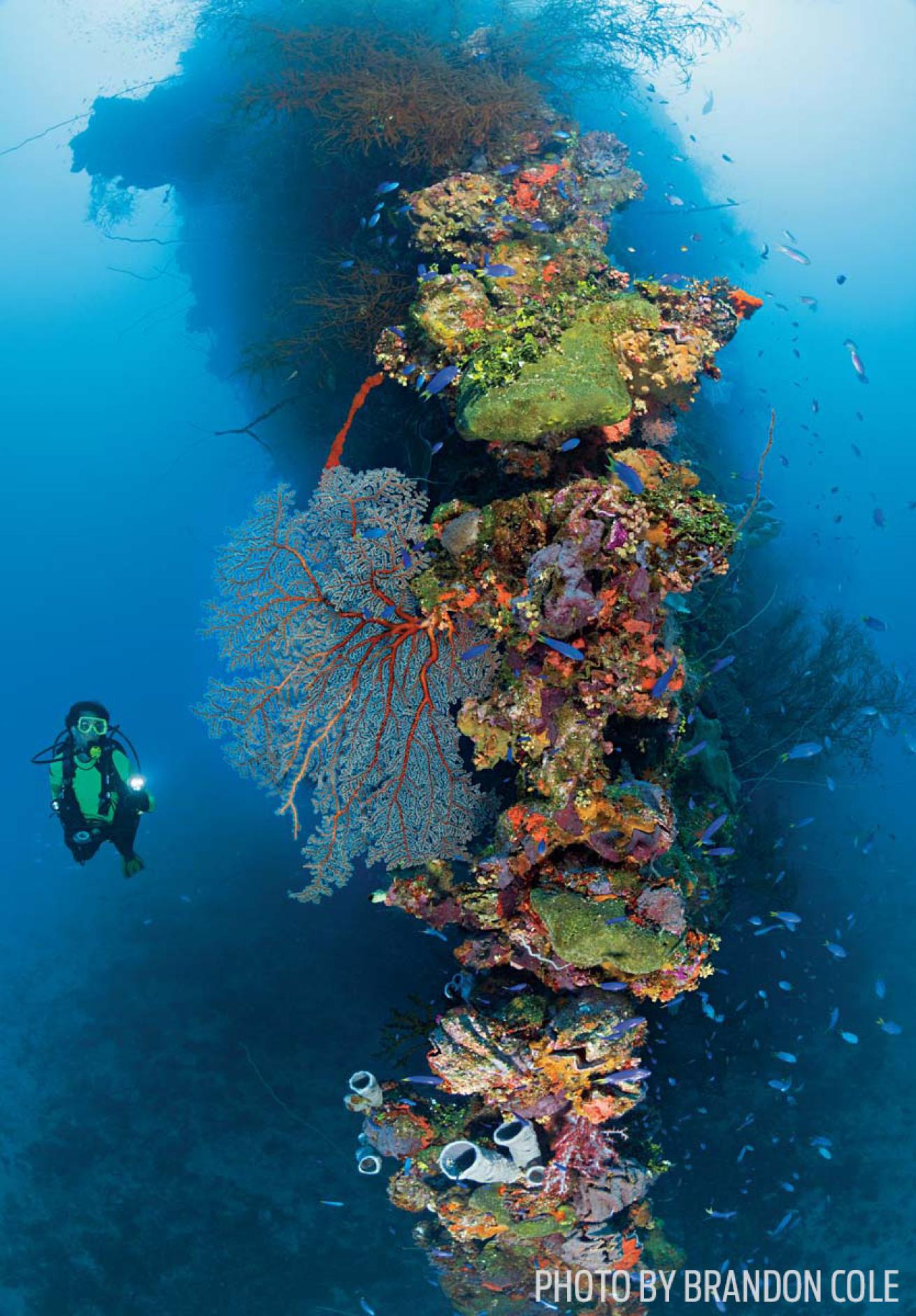 Chuuk lagoon scuba diving fujikawa maru wreck