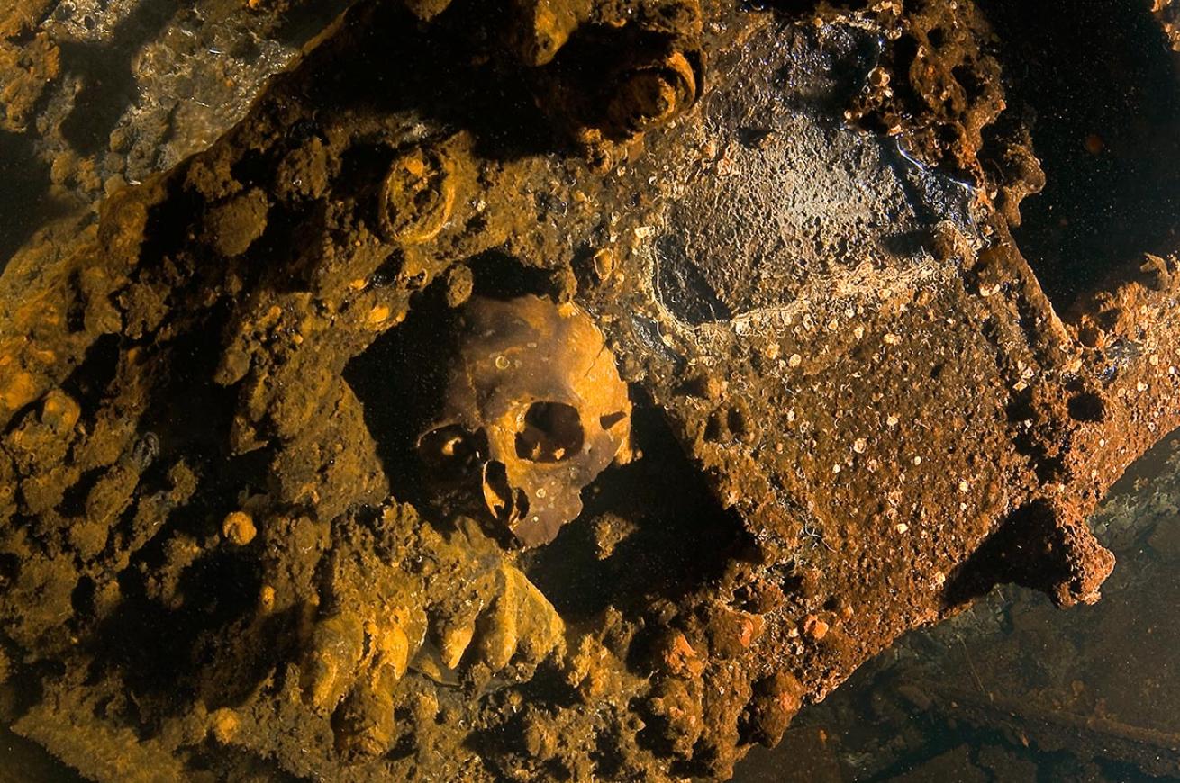 Skull on
