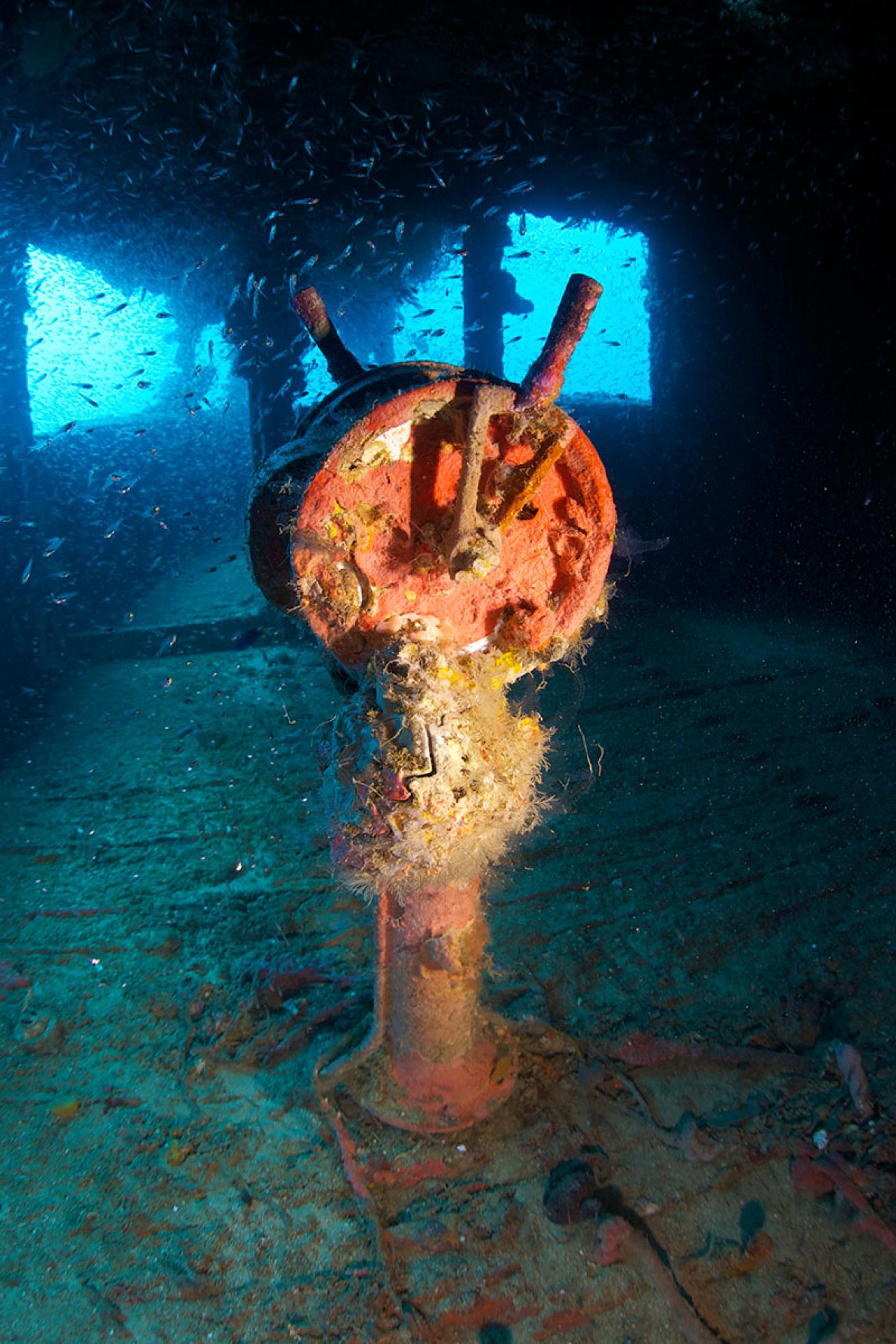 wrecks of Chuuk Lagoon