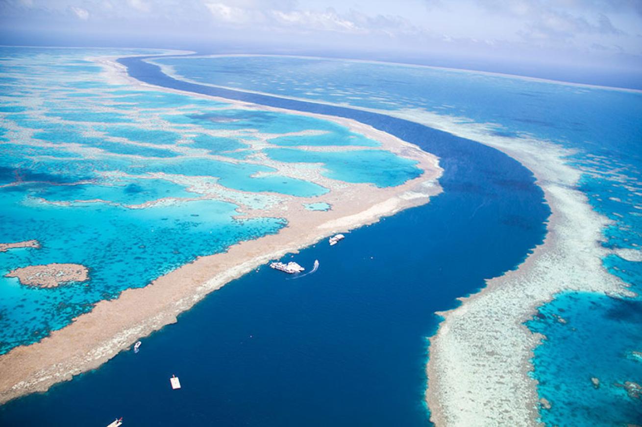liveaboard dive vacation