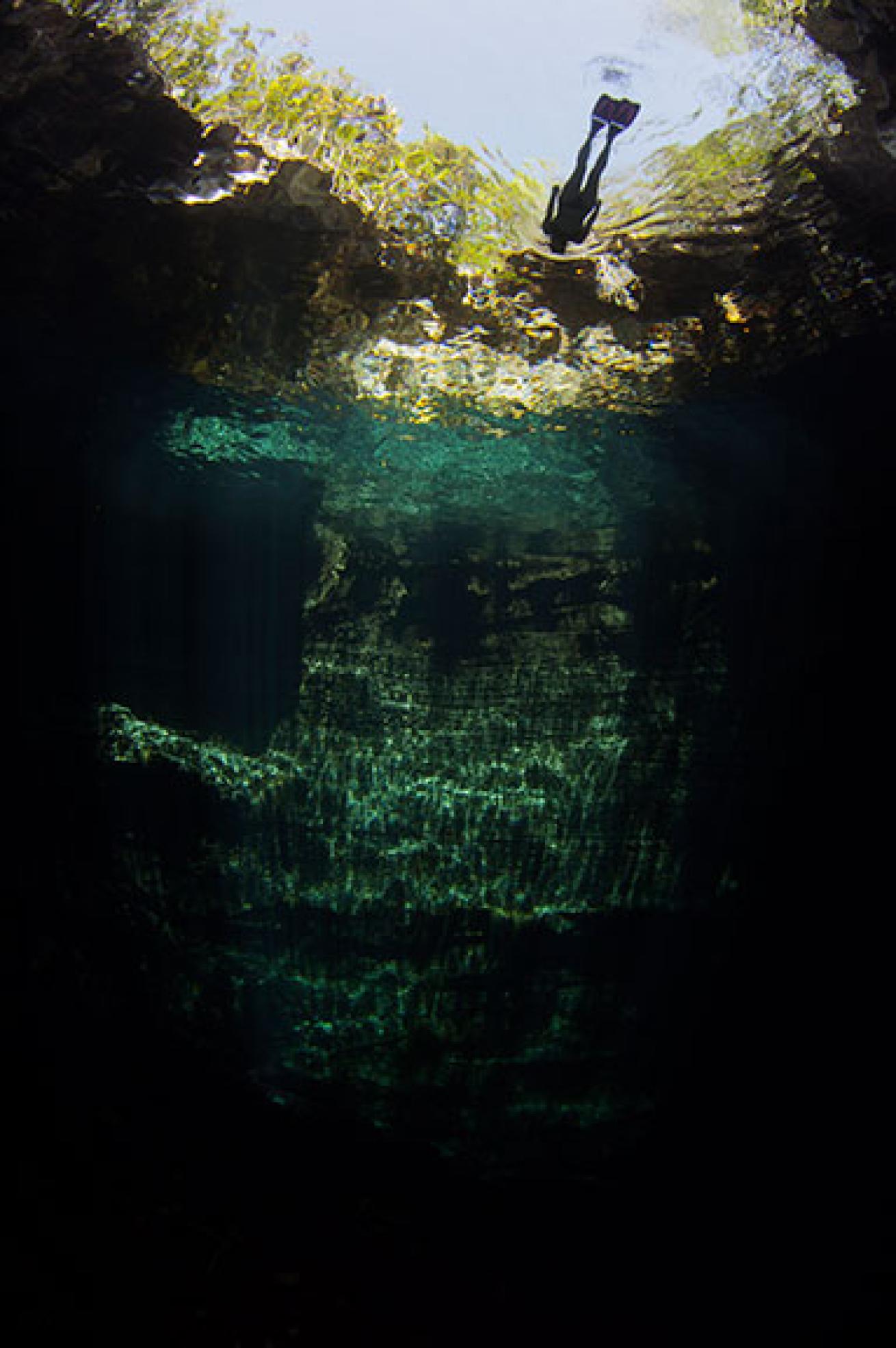 freediving Bahamas