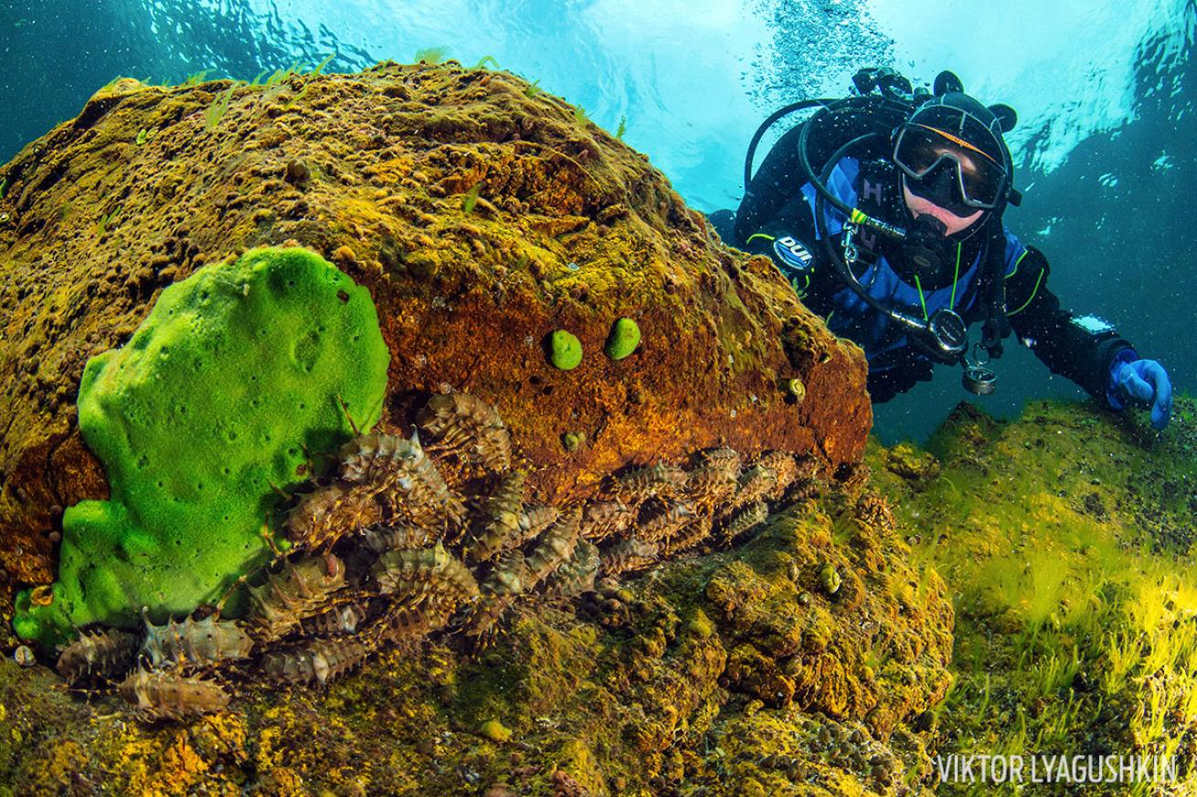 scuba diving russia