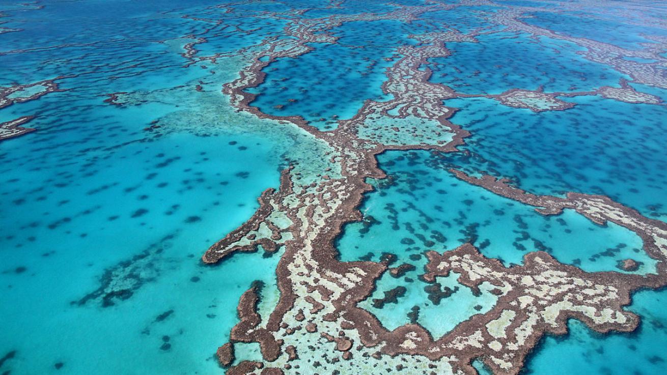 great barrier reef