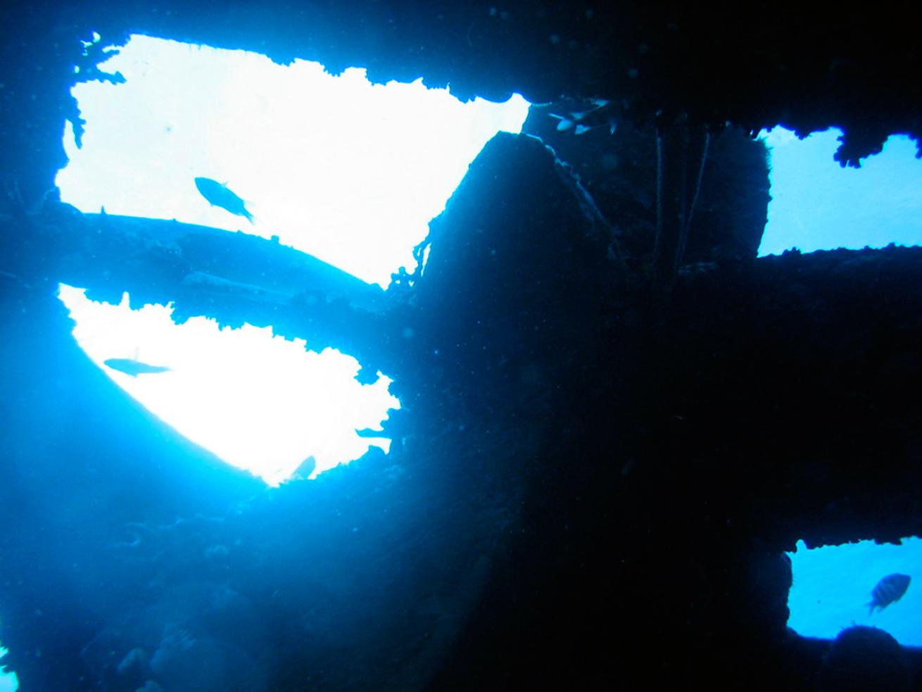 Hilma Hooker