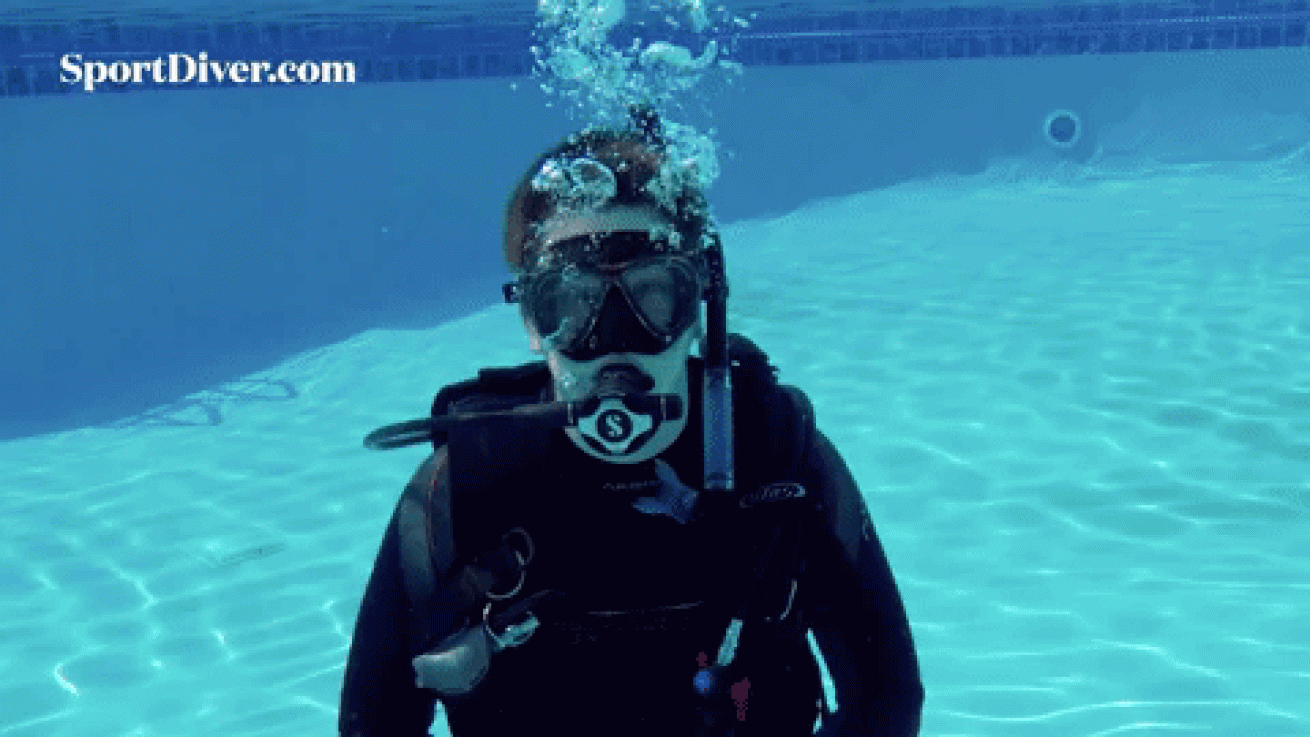 scuba hand signals funny