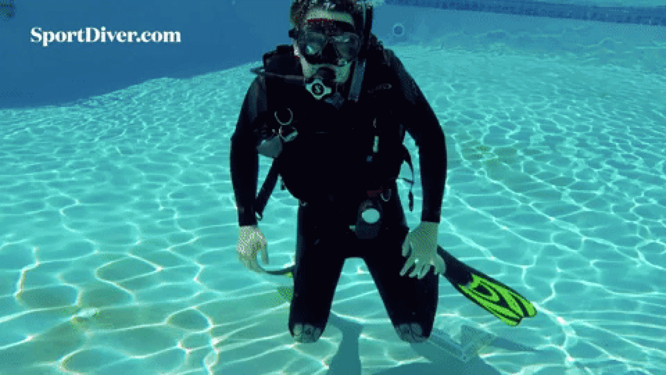 scuba hand signals funny