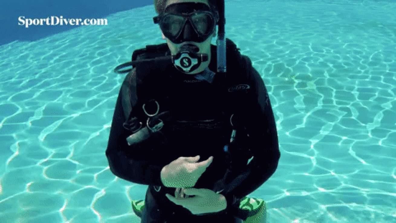 scuba hand signals funny