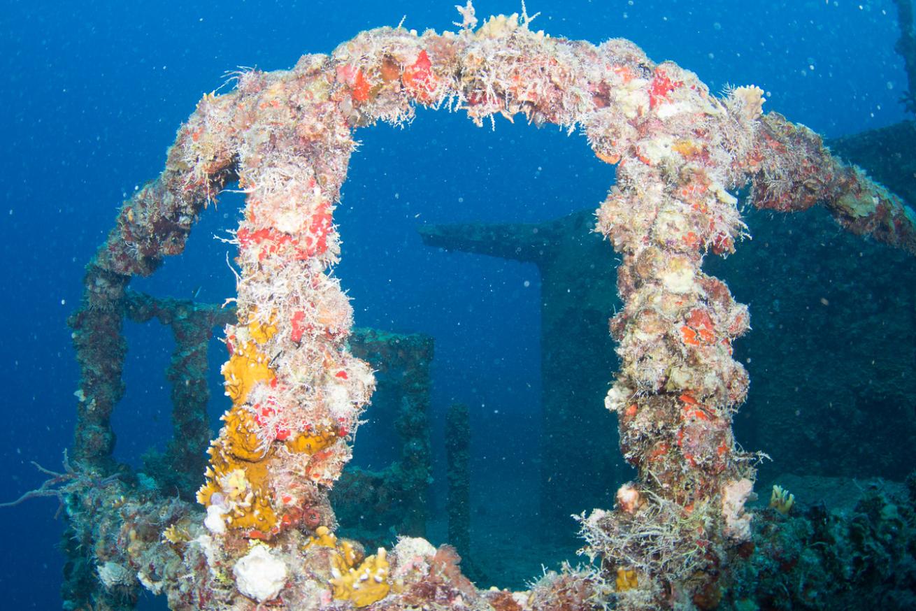 an underwater photo of the Spiegel Grove
