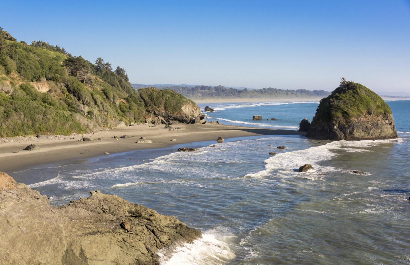 Redwoods California Coastline