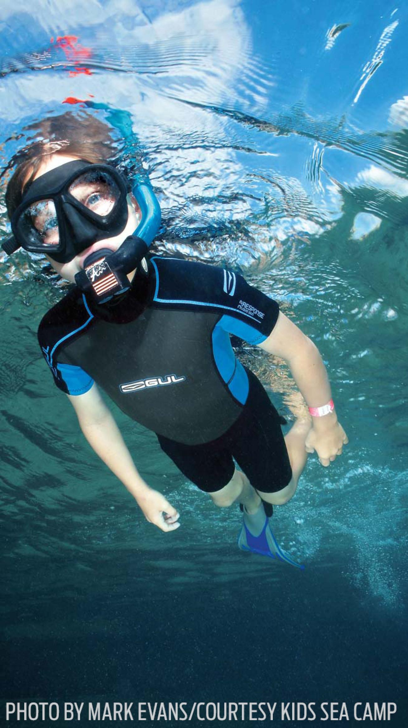 Kids Sea Camp Seal Team Cayman