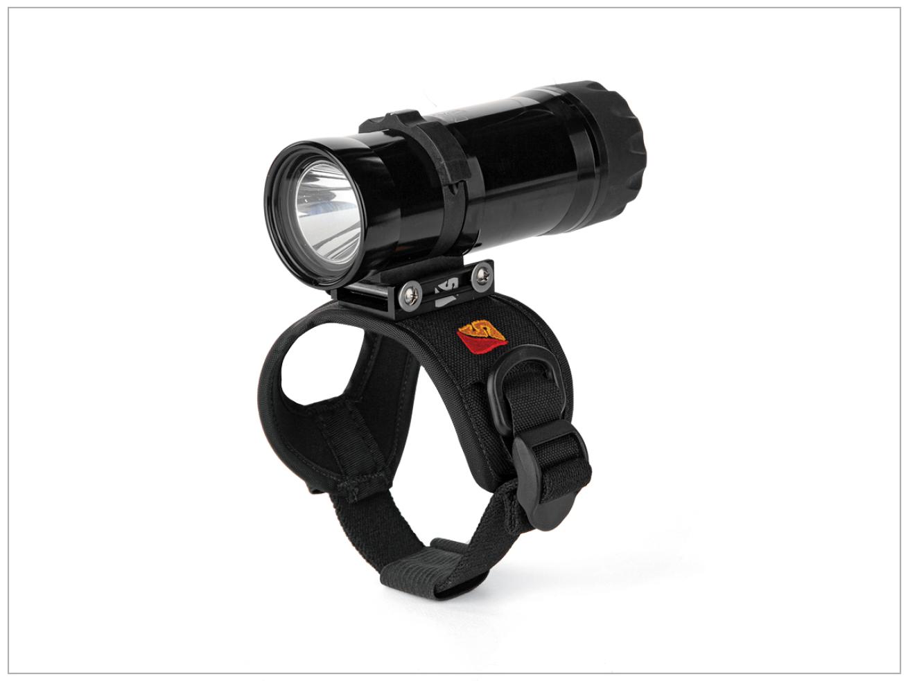 Dive rite lx20 light