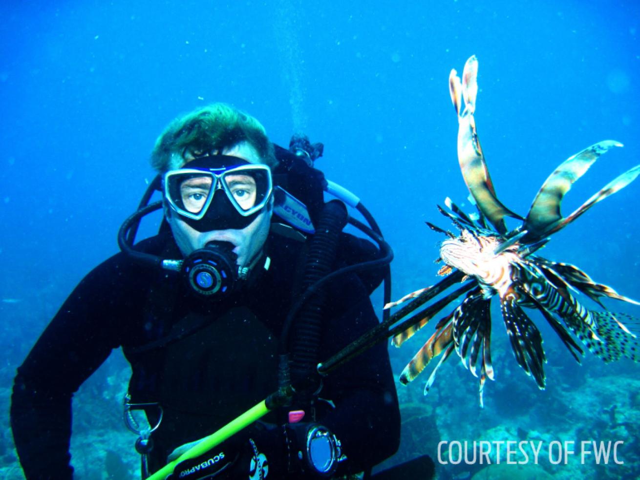 lionfish removal awareness tournament florida fwc spear