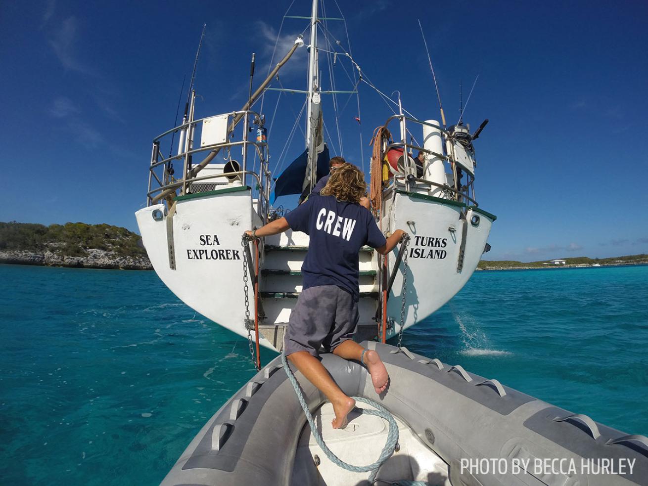 liveaboard diving