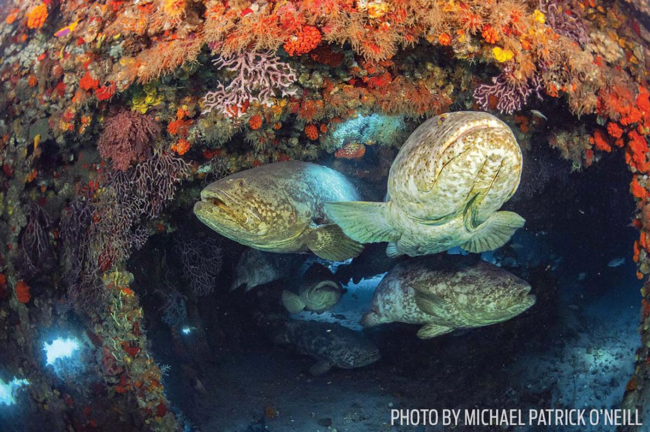 wreck scuba diving mizpah florida