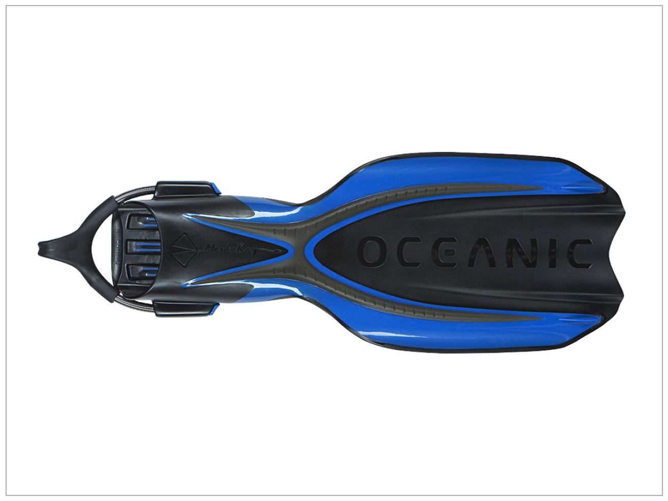 Oceanic Manta Ray