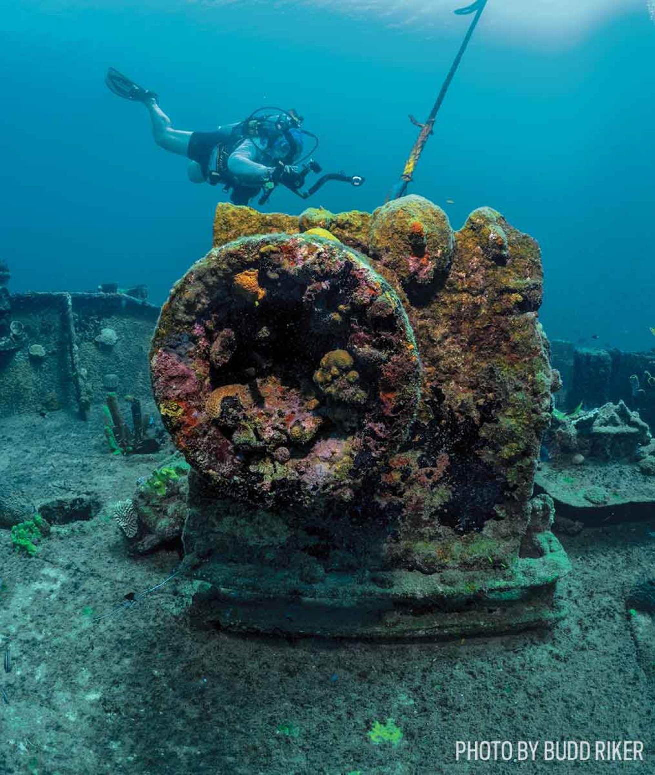 Diving St. Lucia at PADI Total Submersion