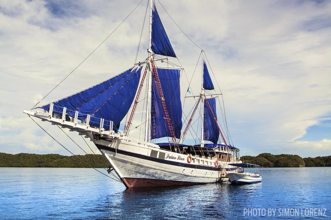 palau siren liveaboard