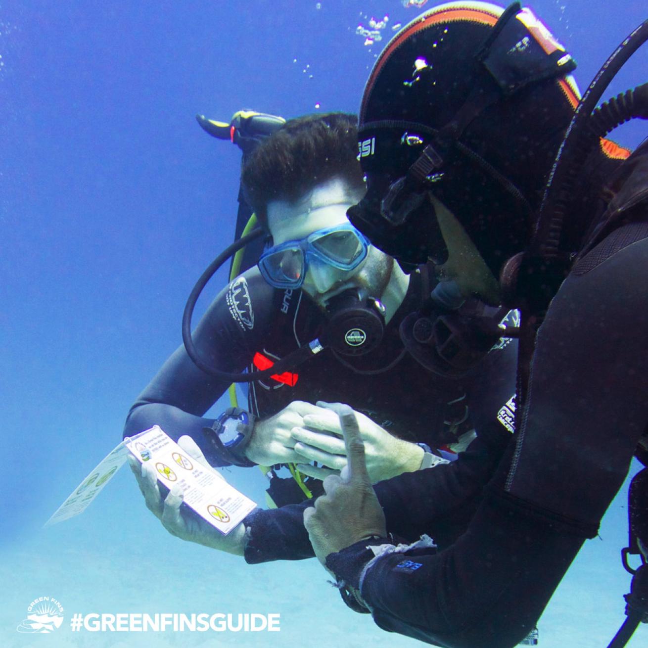 Green Fins divers