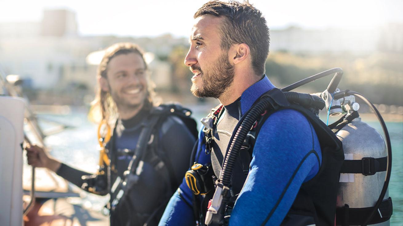 predive checklist