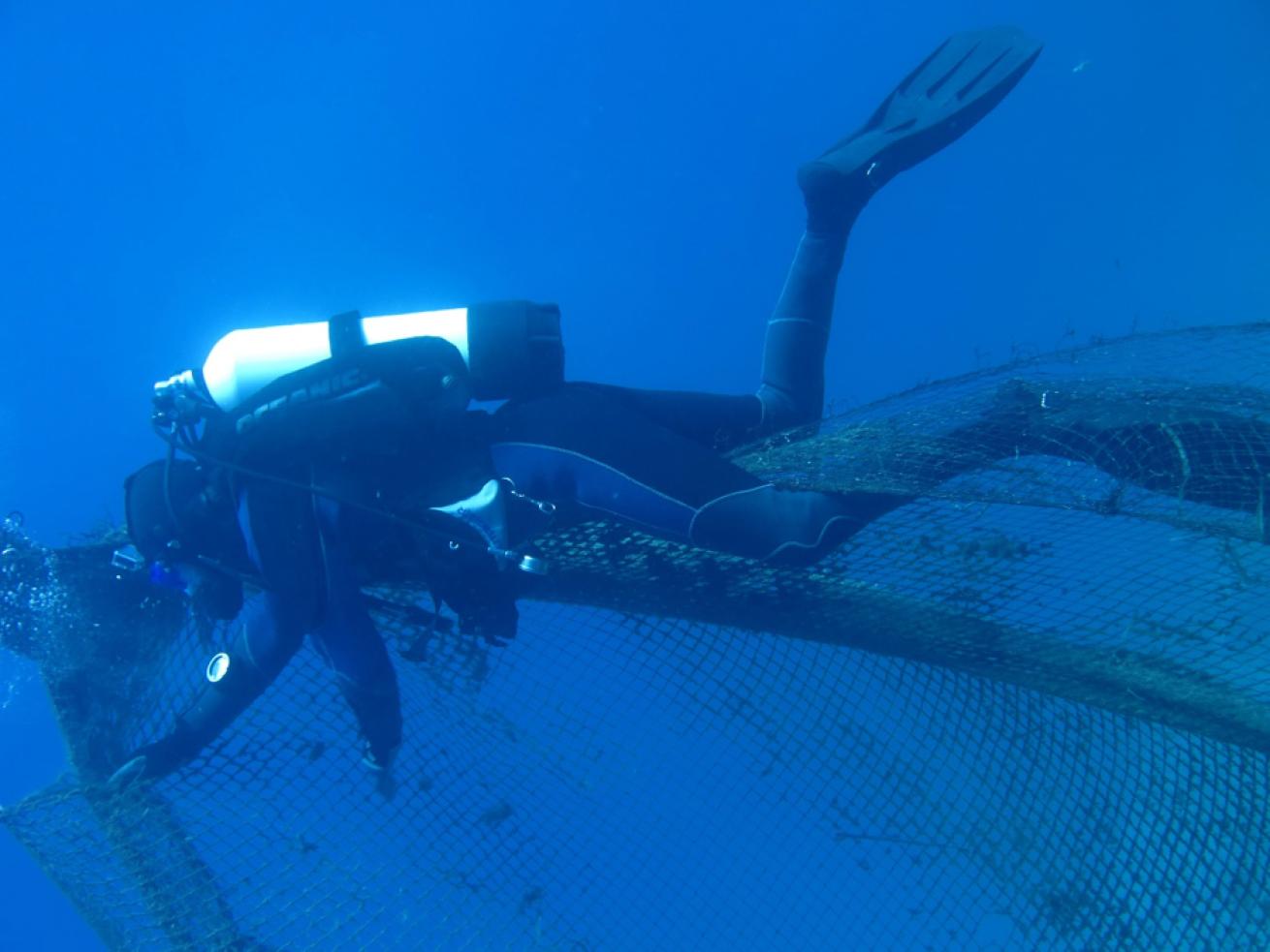 underwater ghost net removal 