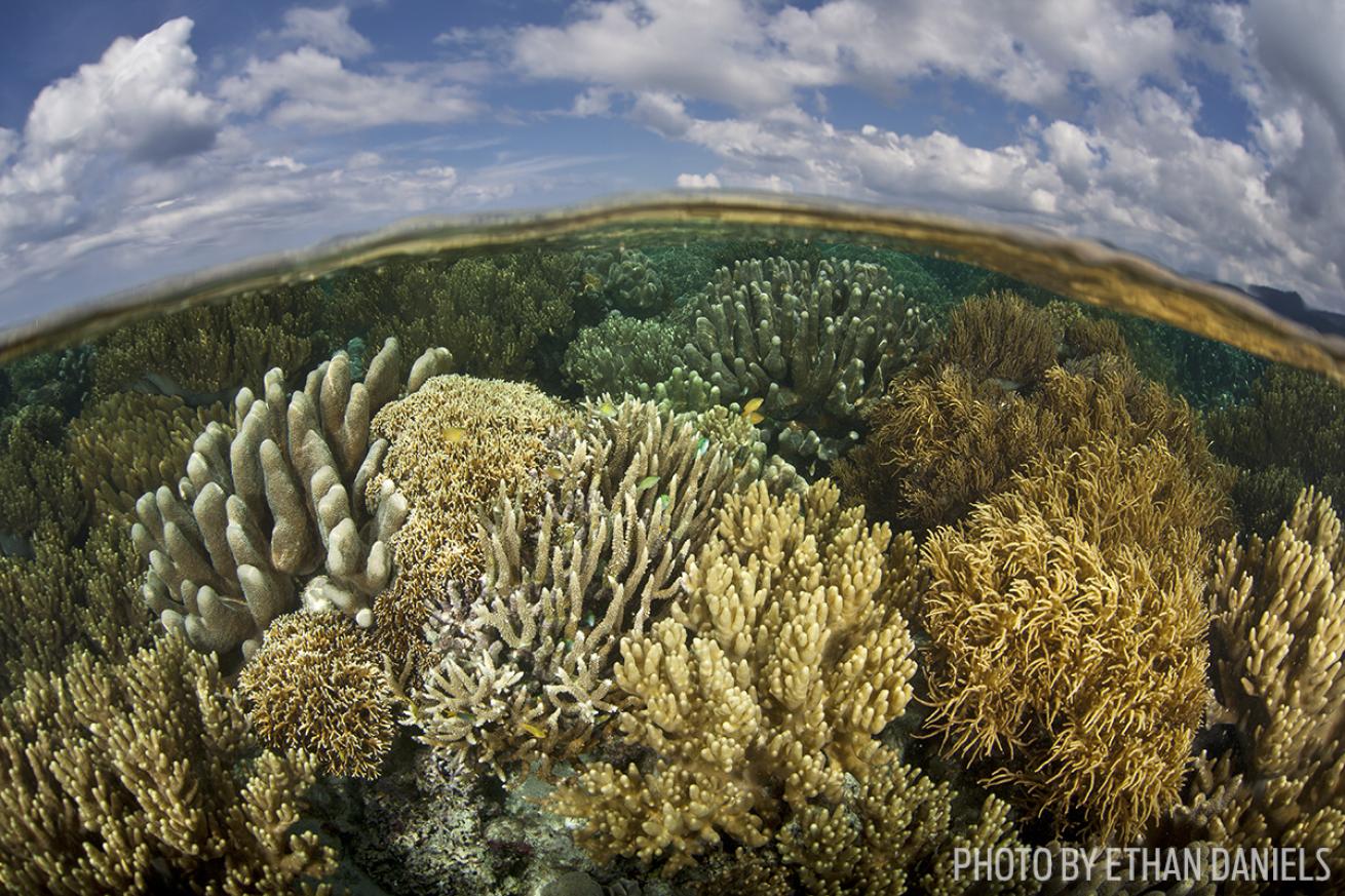 over under photograph raja ampat indonesia