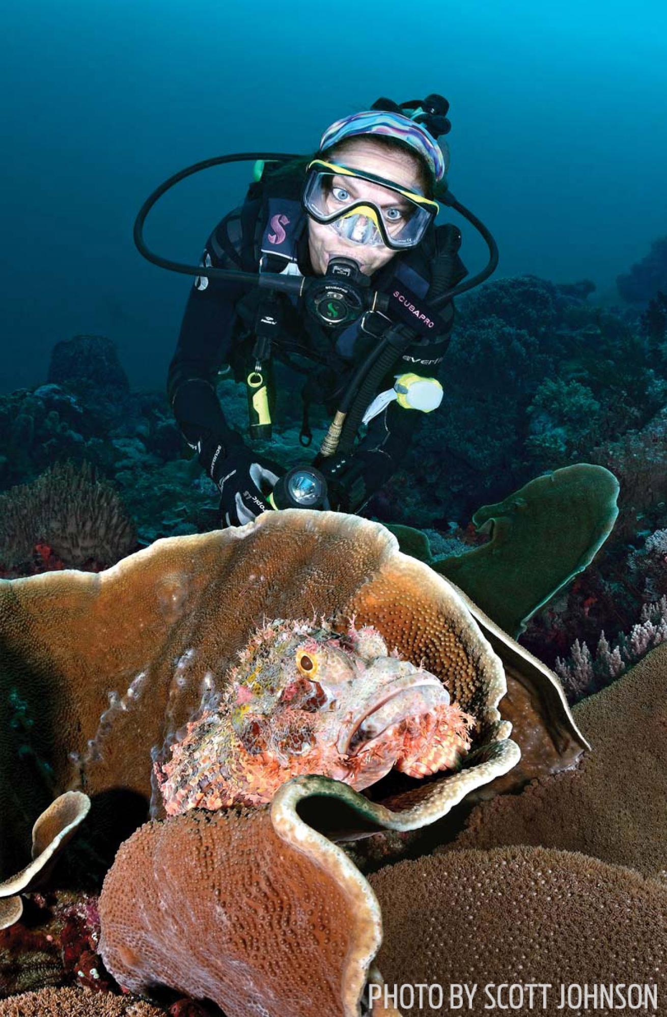 Scuba diving in Raja Ampat