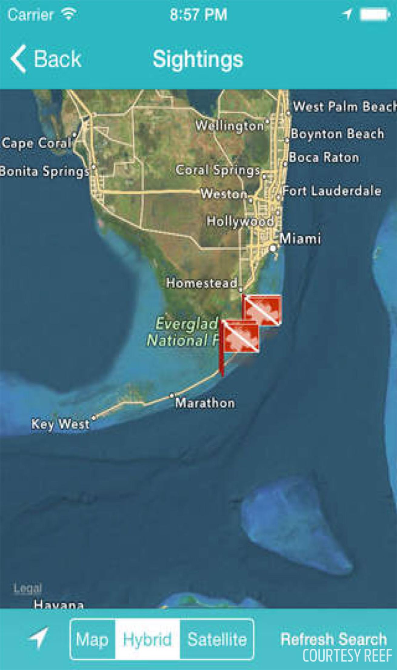 Screenshot of the REEF Lionfish Reporting App
