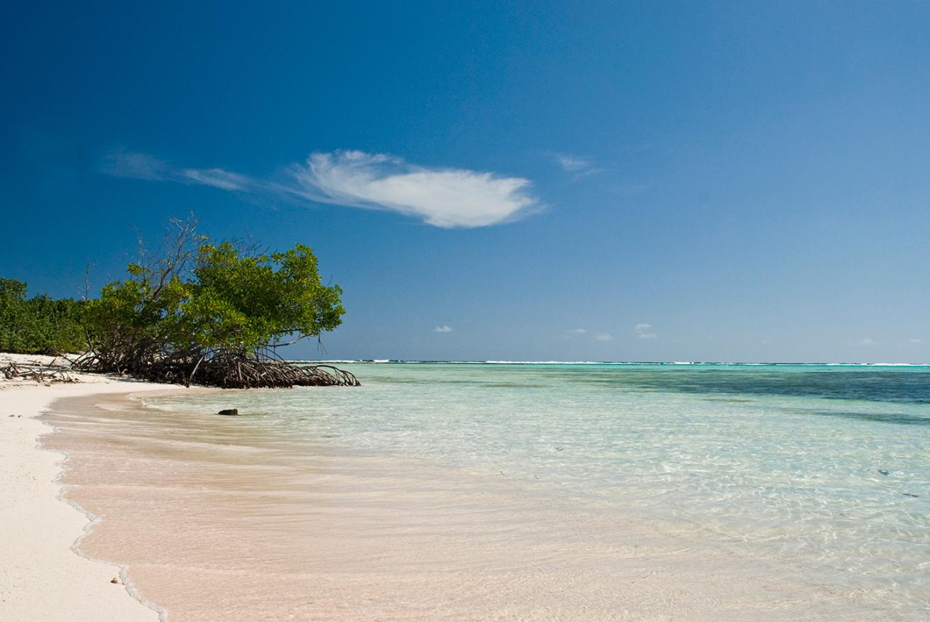 Owen Island