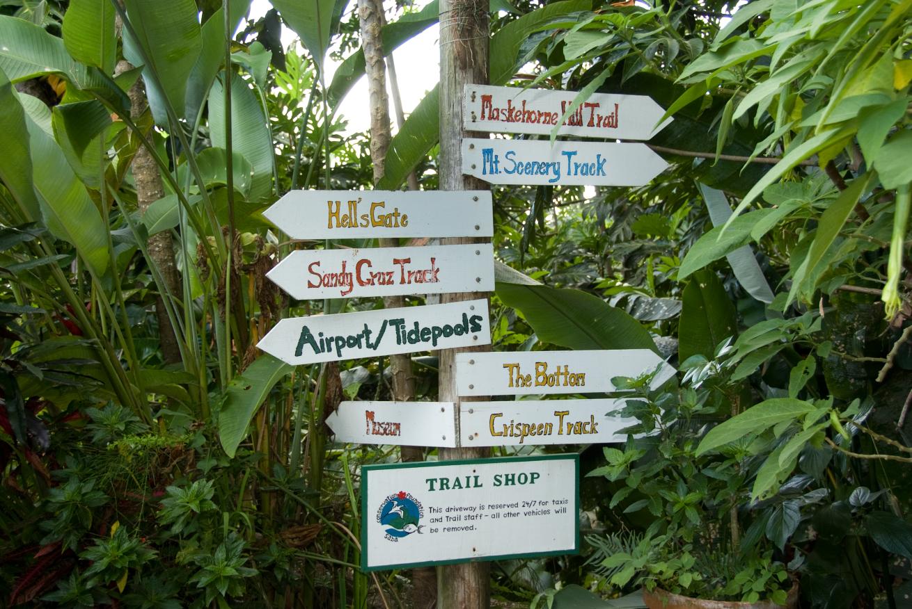 Saba topside excursions