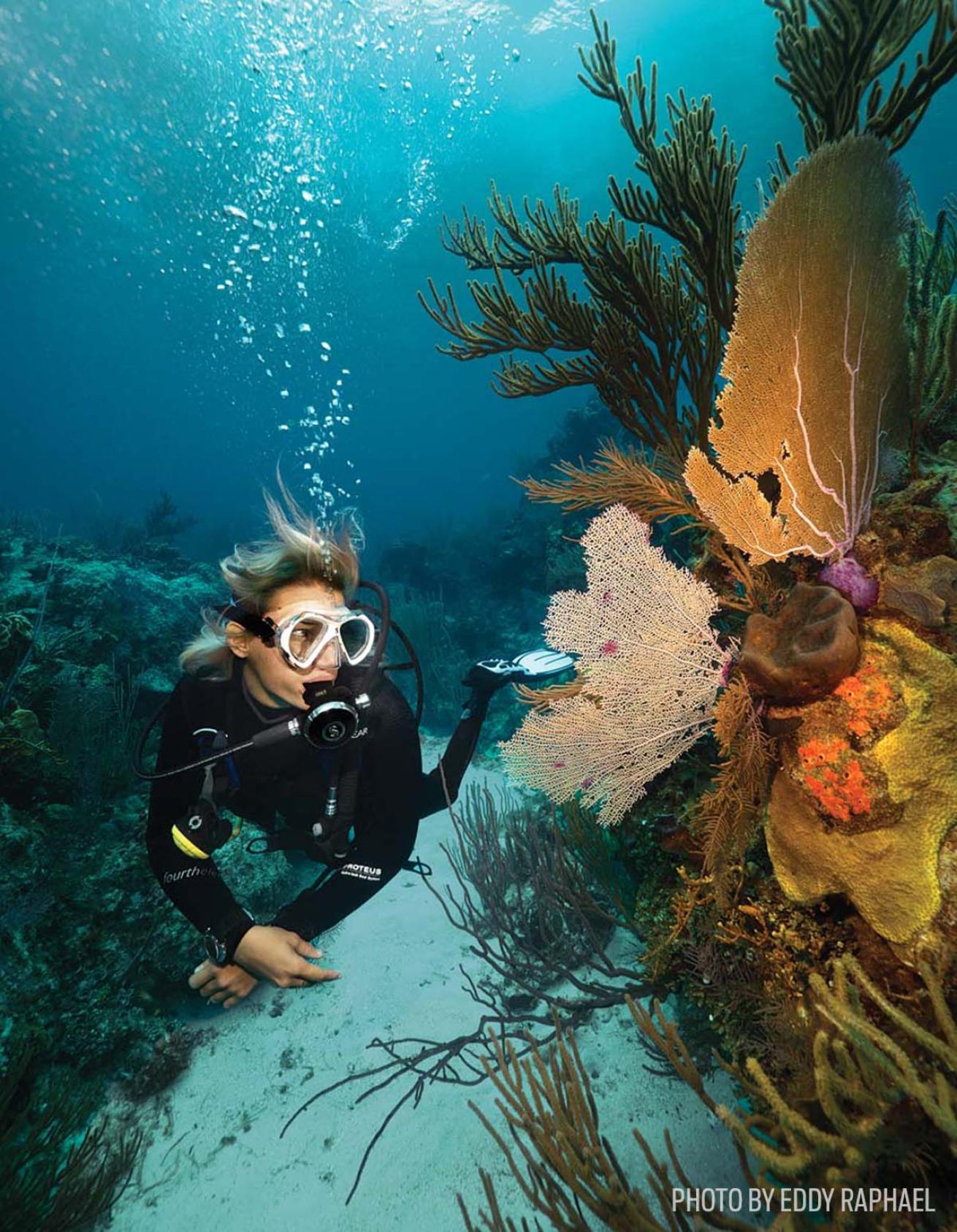 scuba diving the bahamas