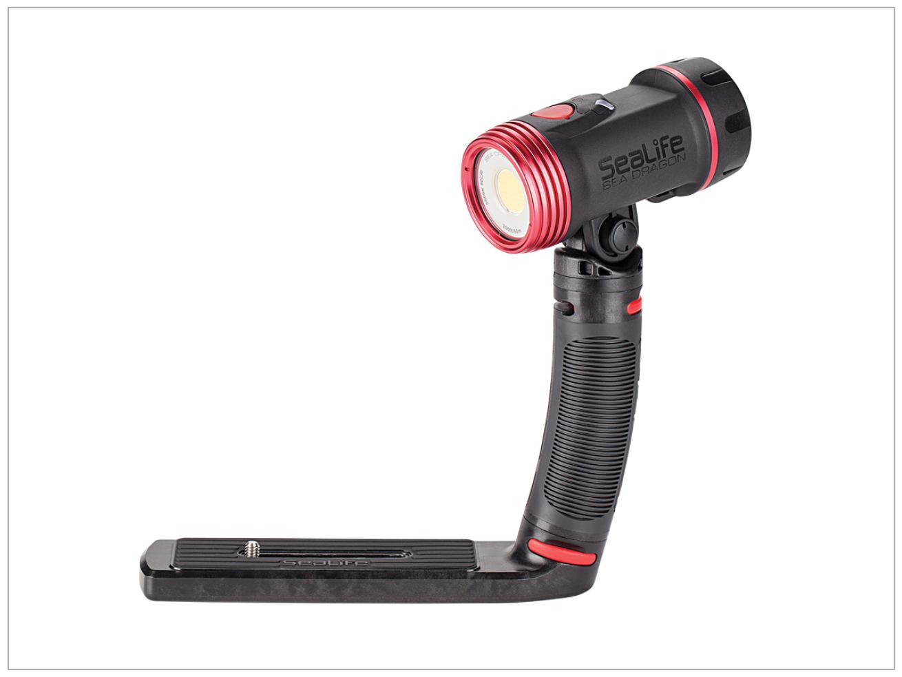 scuba diving sealife photo lights