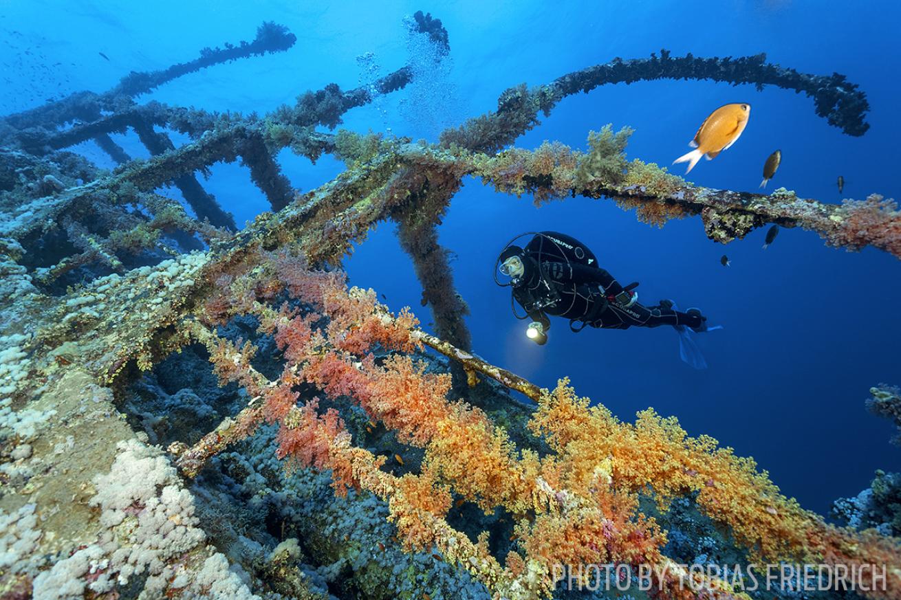 scuba diving numidia wreck