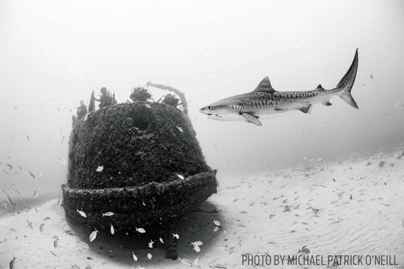 scuba diving jupiter wreck trek florida