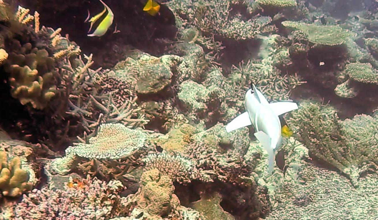sofi robotic fish